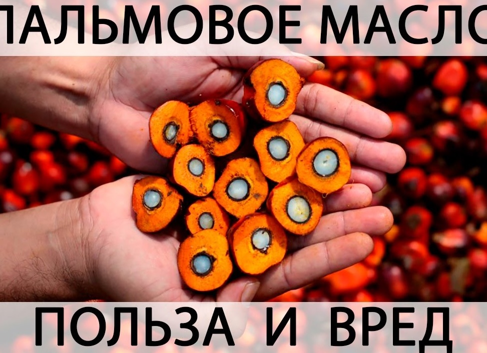 Пальмовое масло: вред и польза