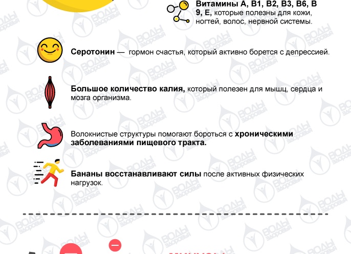 Бананы: в чём польза и вред для организма