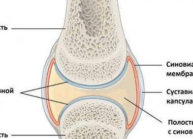 Почему болят суставы и что с этим делать