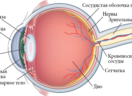 6 причин, почему линзы лучше очков