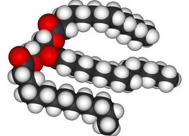 Жиры: какими бывают, зачем нужны и стоит ли их бояться