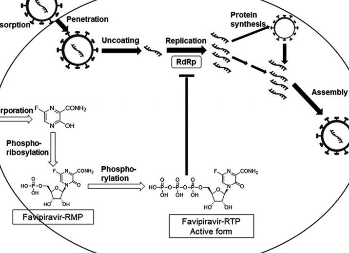 Что мы знаем о первом российском препарате от коронавируса
