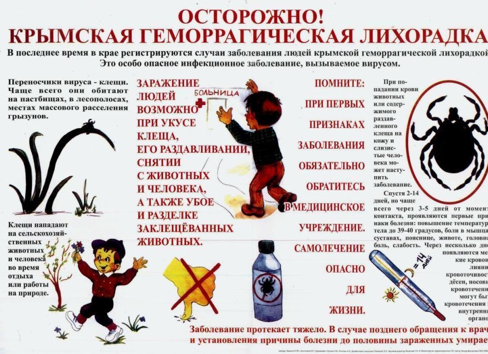 Клещи могут передавать крымскую геморрагическую лихорадку. Вот как её распознать и лечить